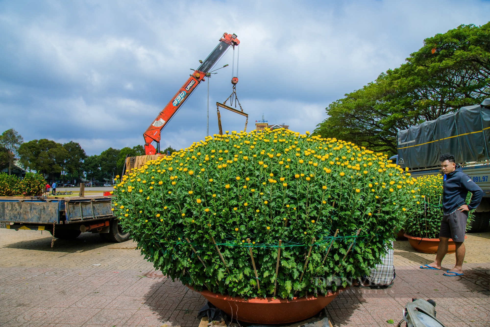 Khung cảnh Chợ hoa Xuân Ất Tỵ  Buôn Ma Thuột - Ảnh 5.